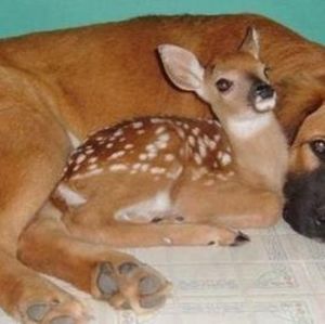 Meet your Posher, Marchesa